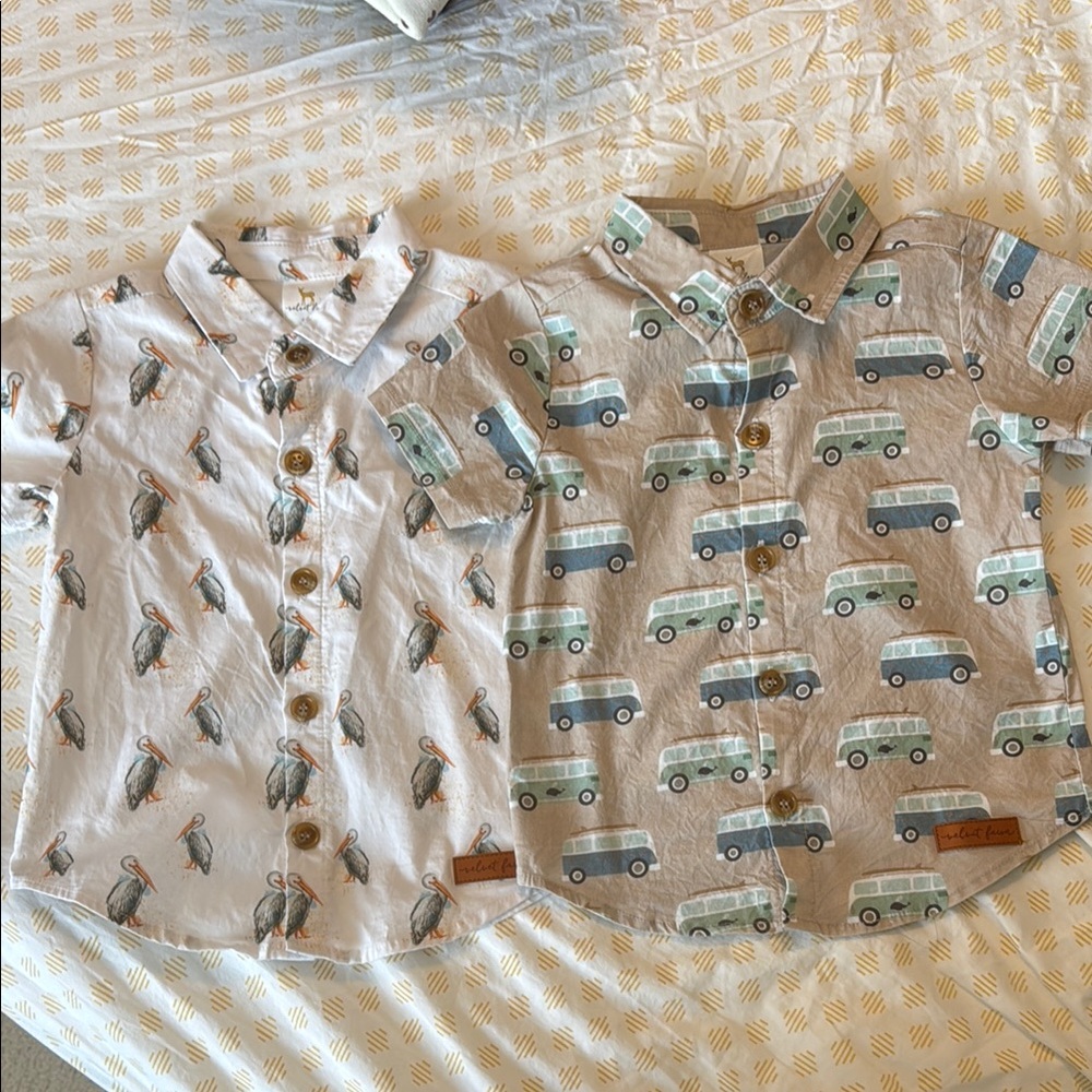 Pair of Velvet Fawn Button Up Short Sleeved Shirts